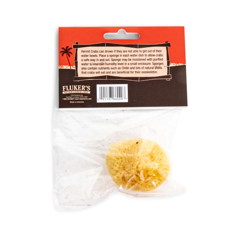 Fluker's Natural Sea Sponge for Hermit Crabs - Image 2